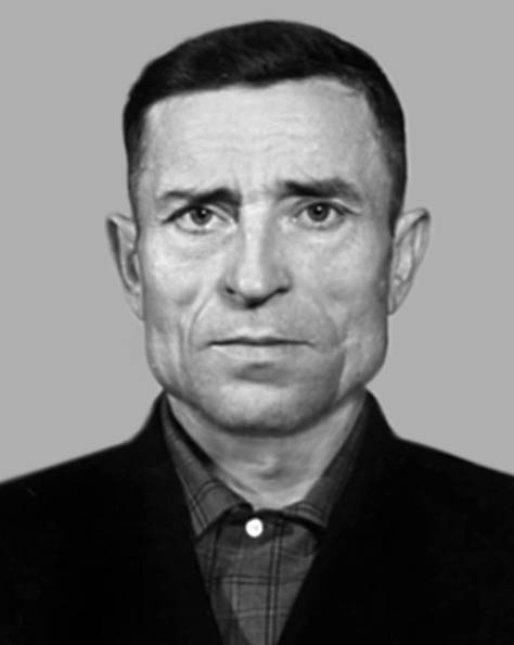 Голуби